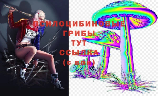 мяу мяу мука Абаза
