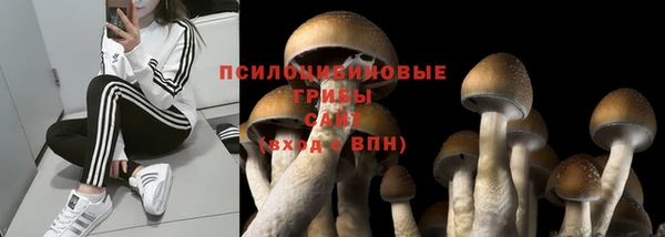 мяу мяу мука Абаза